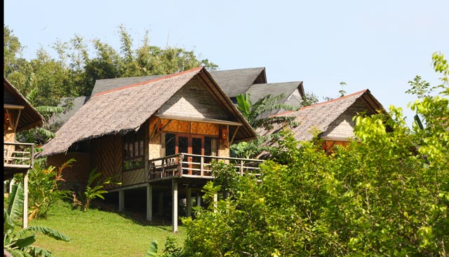 thatch-roof-house thatch-roof-house
